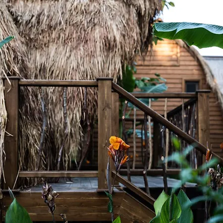 Argolic Glamping Resort *