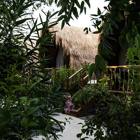Argolic Glamping Resort