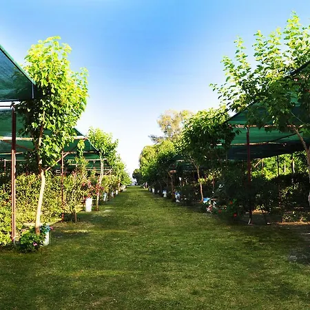 Argolic Glamping Nauplia