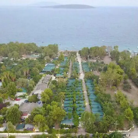 Argolic Strand Camping Kemping Drepano (Argolis)